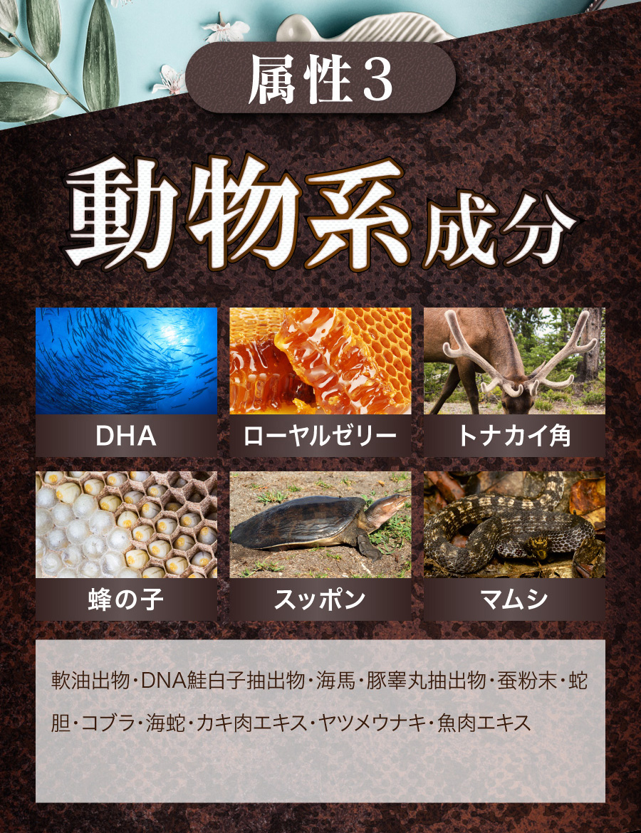 動物系成分